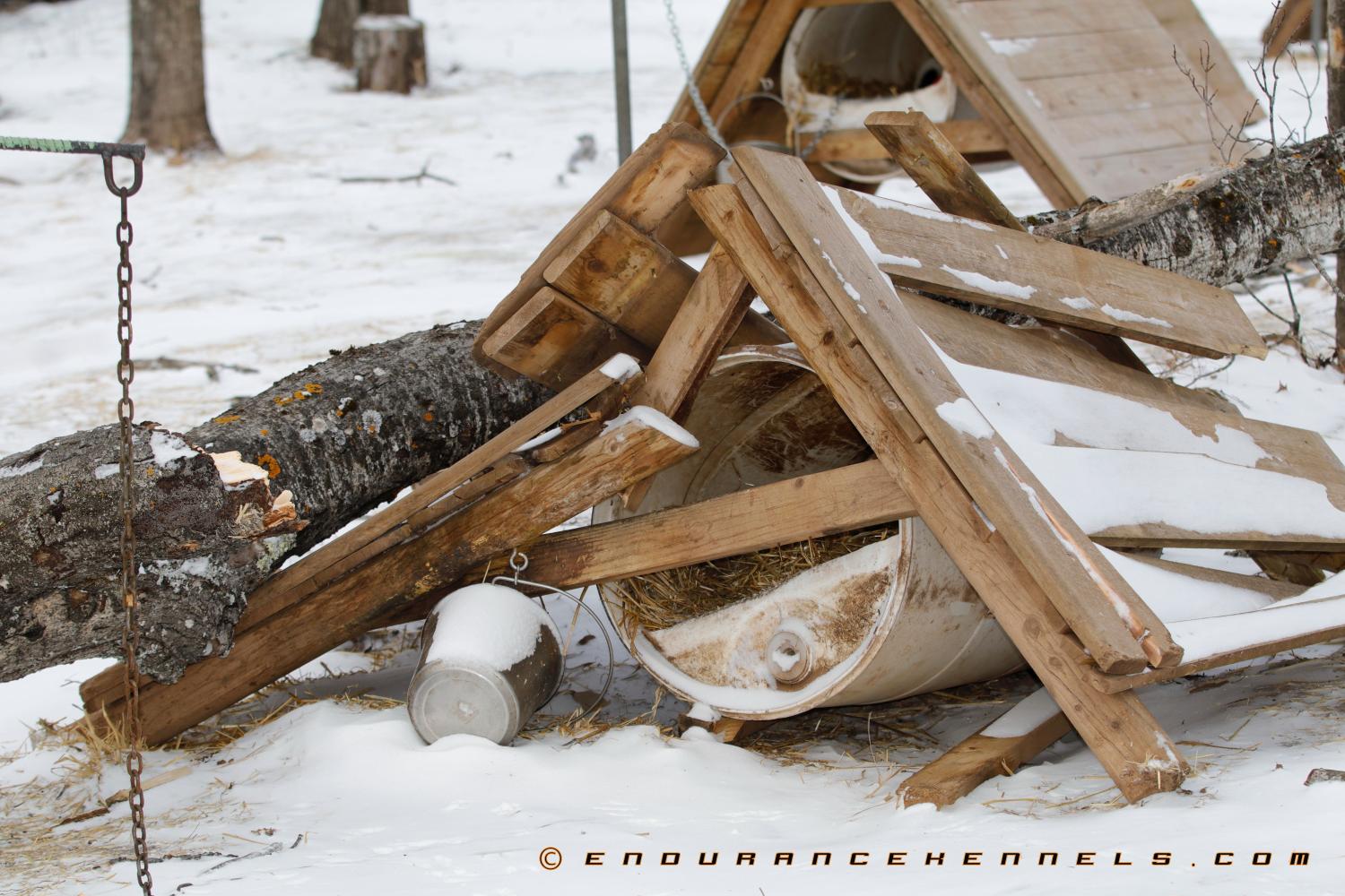 How To Build A Sled Dog House Plans Materials Design Video A Frame And Plywood