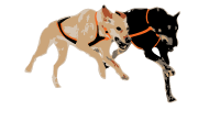 Endurance Kennels LLC Logo